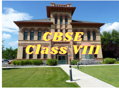 CBSE - Class VIII